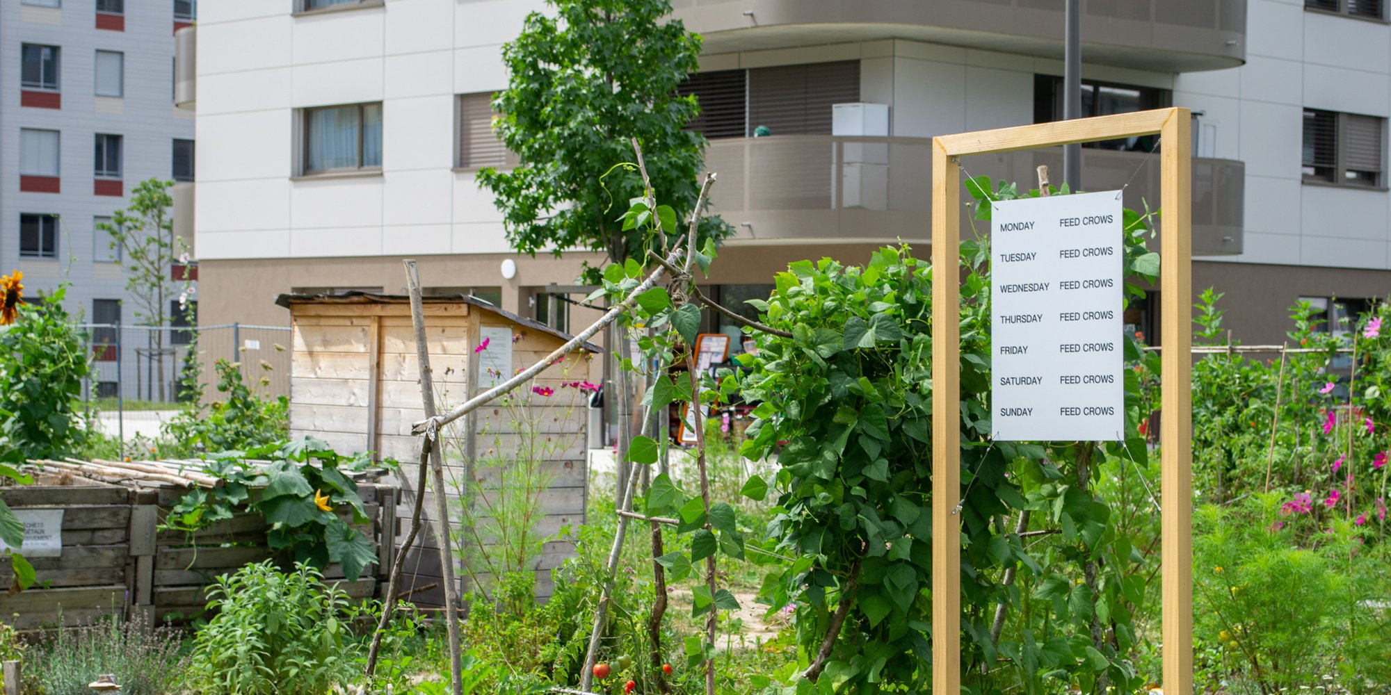 (01) Urban Gardening